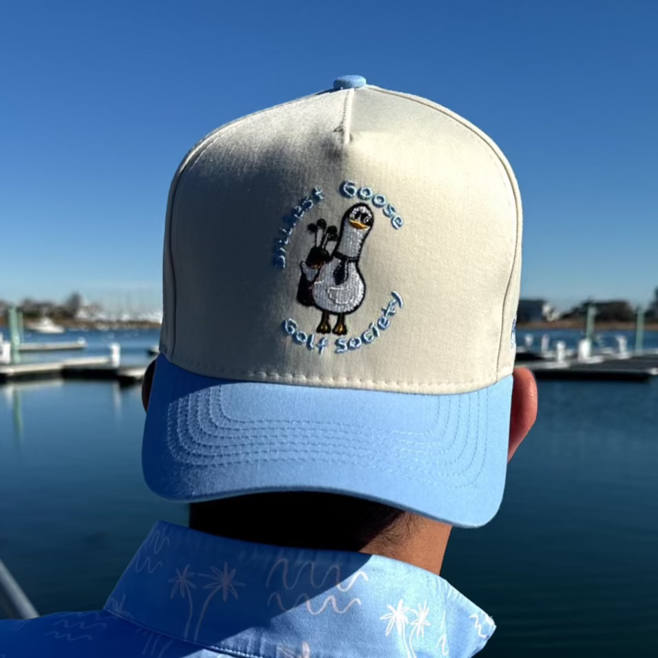 Silly Goose Hat
