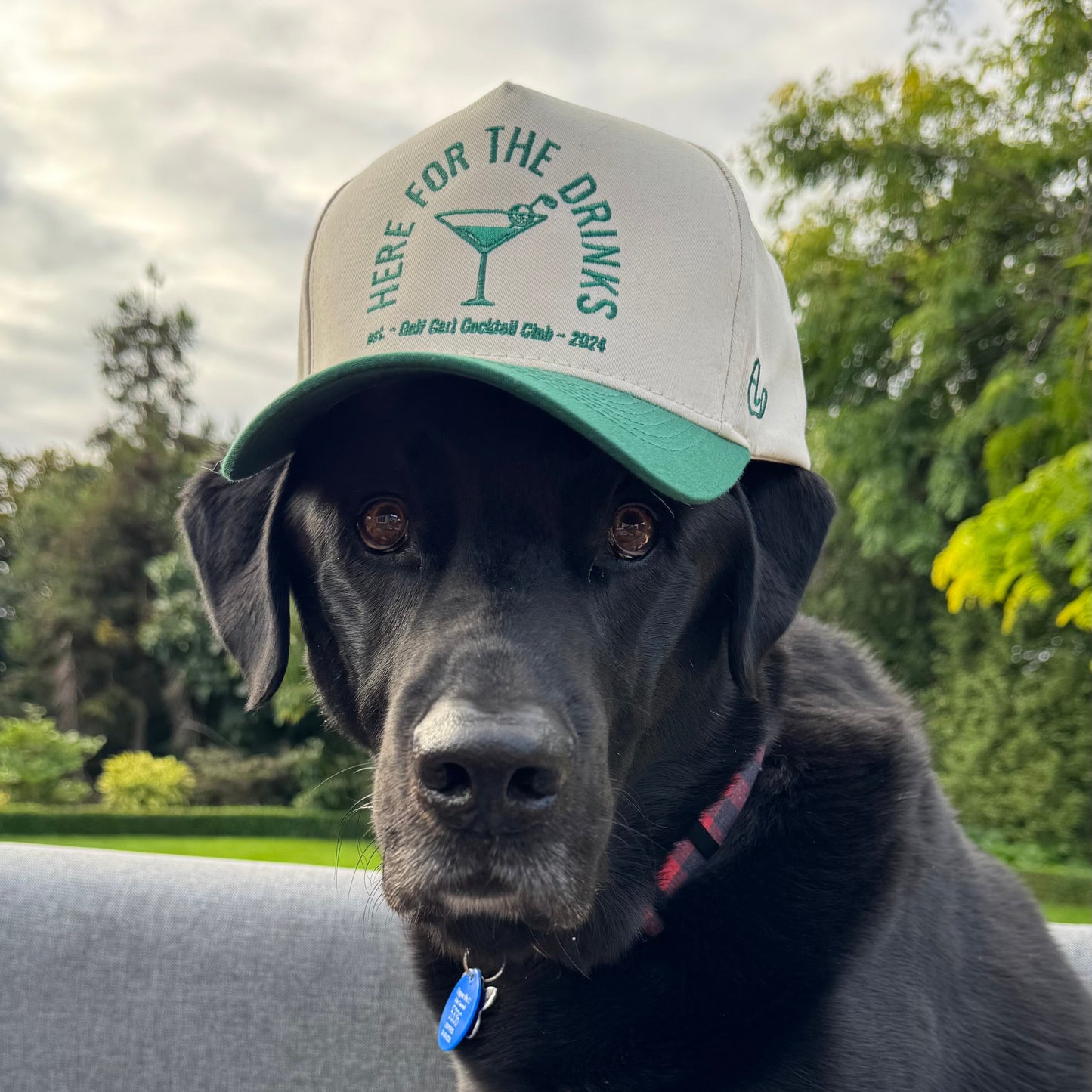 Here For The Drinks Hat