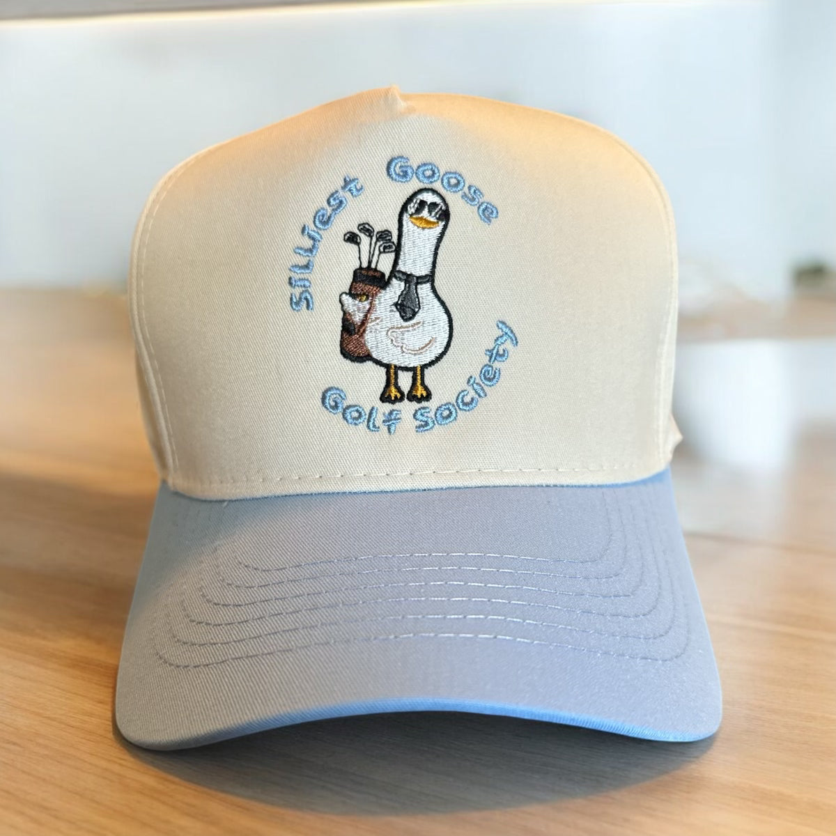 Silly Goose Hat